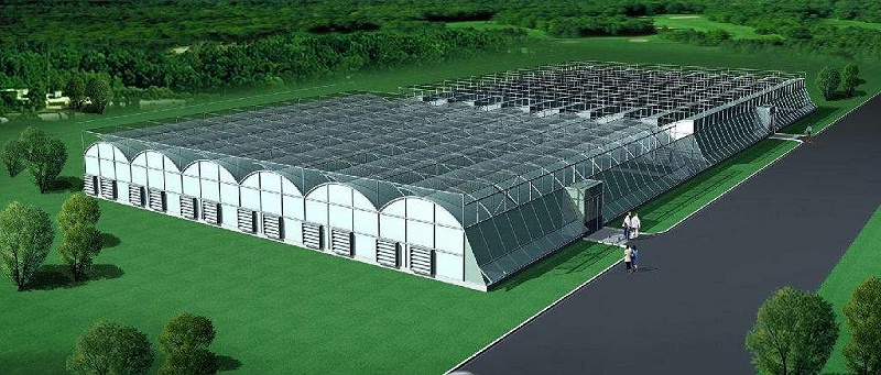 改性尼龍新聞速遞: 關(guān)于改性塑料在農(nóng)業(yè)中的發(fā)展趨勢